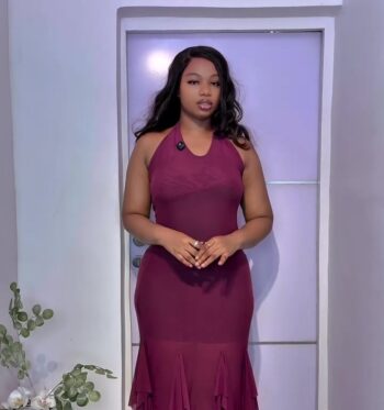 Mesh Flounce Dress